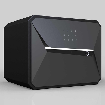 Home Security Safe Designed for Protection, Biometric Fingerprint Access, 1.2 Cubic Feet, Steel Construction